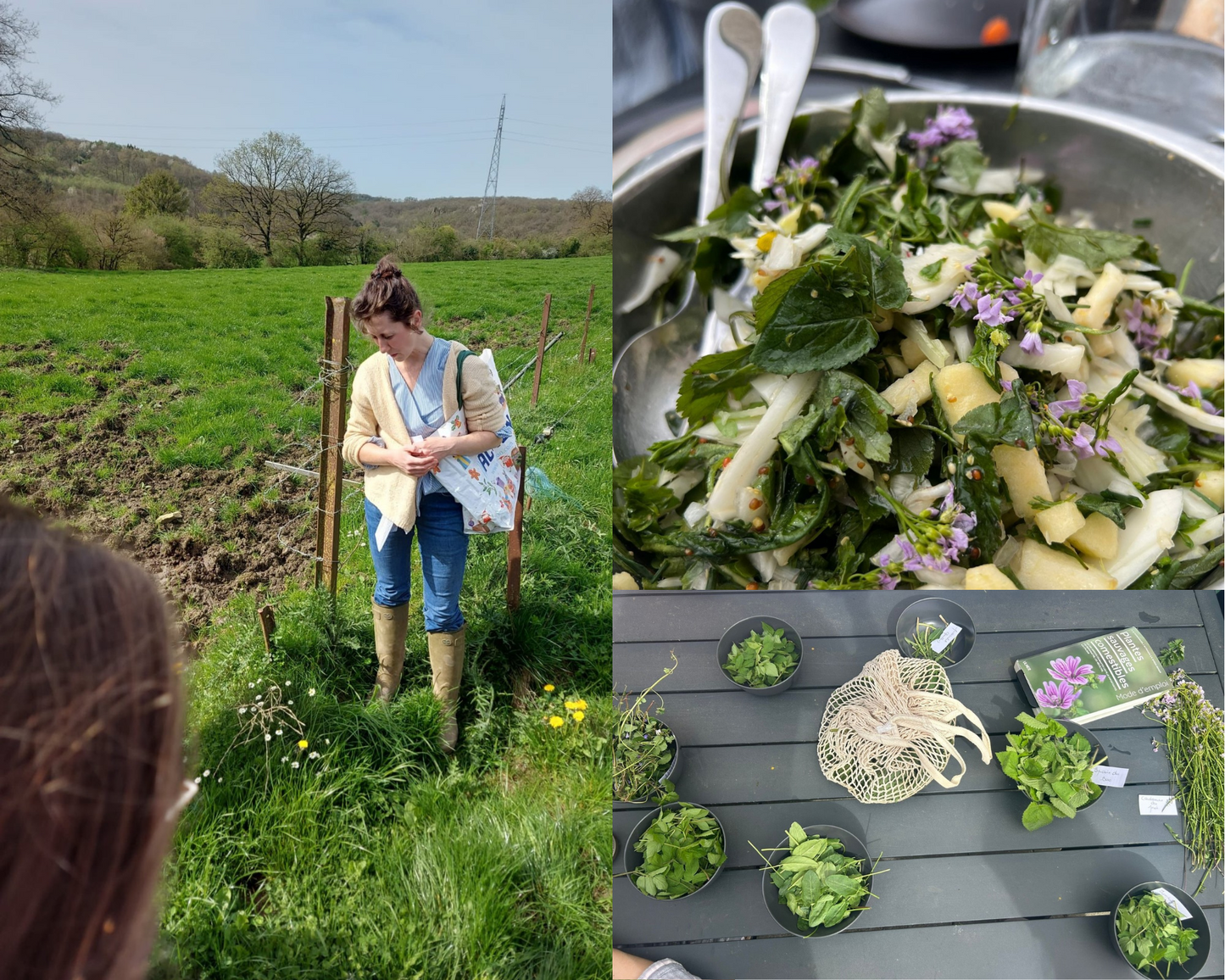 Cueillette et cuisine des plantes sauvages comestible du printemps avec Lucille  """26 Avril 2025"""